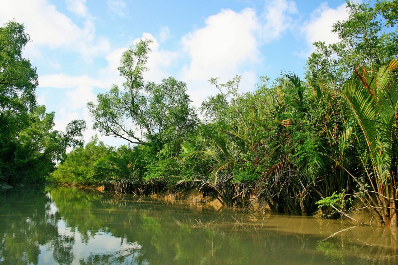 SUNDARBAN