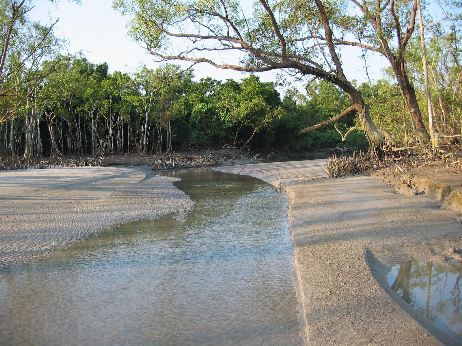 SUNDARBAN