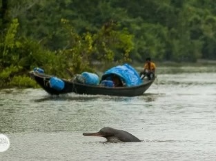 SUNDARBAN